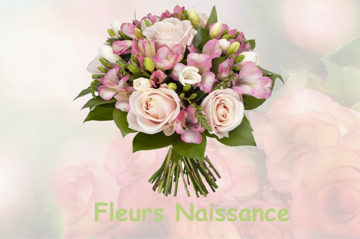 fleurs naissance LA-CHAUX-EN-BRESSE