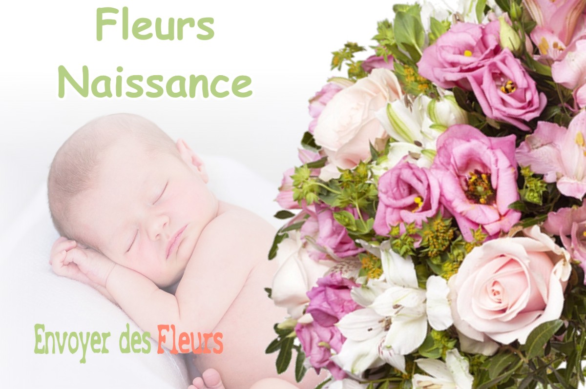 lIVRAISON FLEURS NAISSANCE à LA-CHAUX-EN-BRESSE